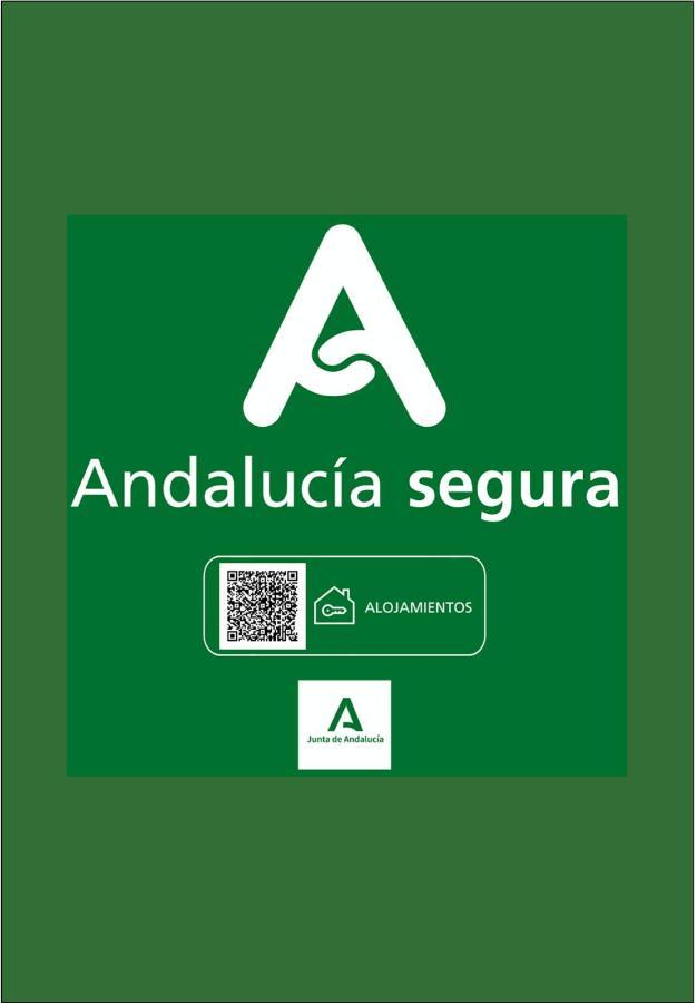 Holidays2Malaga Heredia 3 Bedroom Opposite Malaga Port 外观 照片